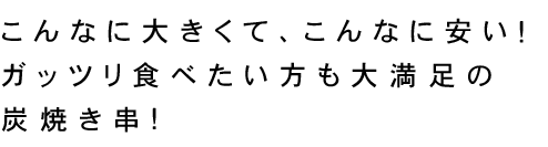 大満足の炭焼き串