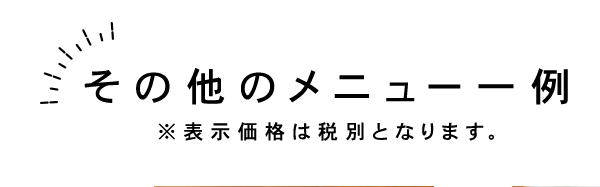 その他のメニュー一例